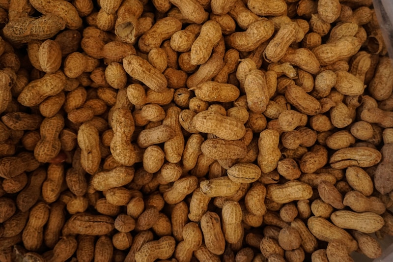 Groundnuts in shell